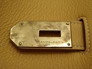 SL731865.JPG