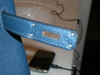 Birkin 1.jpg