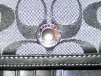 PICT0157.JPG
