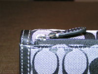 PICT0161.JPG