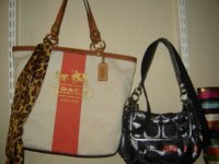 DSC01335aaaa.jpg