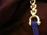 pic 6 some chain and blue.jpg