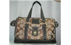 Large Coach Pet Carrier_1.jpg