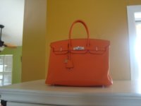 hermes handbag orange 752.JPG