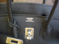 P1050937 pf.jpg