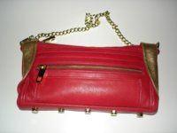 lex clutch in scarlet and gold.jpg