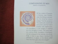 DSC03304.JPG