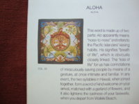 DSC03331.JPG