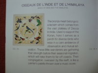 DSC03426.JPG