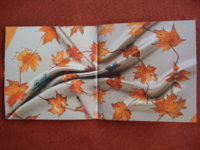 DSC03824.JPG