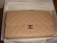 DSC07881a.JPG
