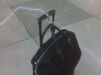 fumi on luggage.jpg