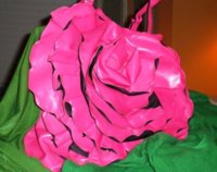 rose shopper as art.JPG