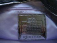 DSC02841.jpg