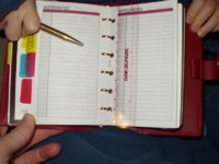 Vernis agenda - Dayrunner pages.JPG