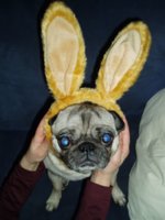 brussel2010 028.jpg