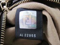 fendi 1.jpg