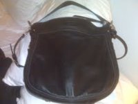 coach bag.jpg