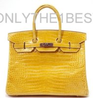 1H_birkin35_jaunecroc_PHW.jpg