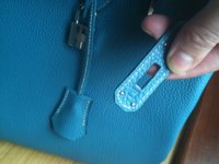 birkin 1.jpg