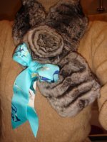 DSC06571a.JPG