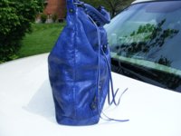 Indigo Day - side view.jpg