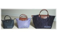 longchamp le pliage size comparison