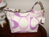carly purse.jpg