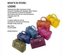 04_25_10_sta_loewe_Email_16.jpg