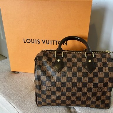LOUIS VUITTON - SPEEDY BANDOULIÈRE 25 - ORGANIZER/PURSE INSERT + WIMB -  What's in My Handbag 
