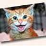 frawstiepawz