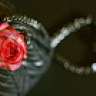 mademois JEWELS