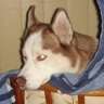 Luckyeshe