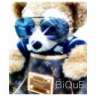 BiQuE