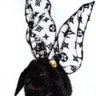 PurseBunny