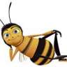 beezonline