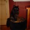blackcat59