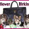 BiewerBirkin