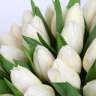 whitetulips