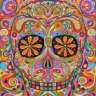 MexiTexican