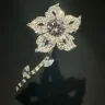 Glitterkitty