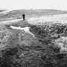 fellrunner