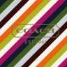 CoachGirl2301