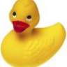 HollyDucky