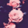 fpPandora