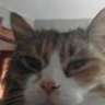 sammymay
