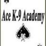 acek9z