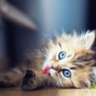 amberY