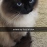 JonathanHui