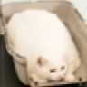 Vendredi
